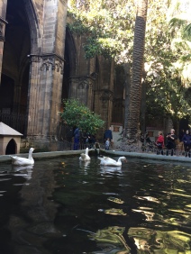 The geese of Barcelona Cathedral